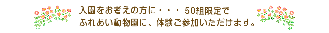 月に1度（４・８・9月を除く）園庭開放を行います。
近所の方とお誘い合わせの上、ふるってご参加ください。